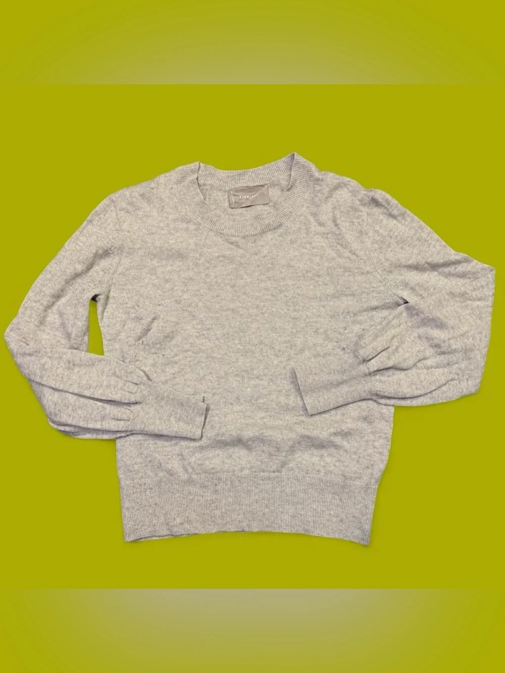 Everlane 100% Cashmere Crewneck Sweater